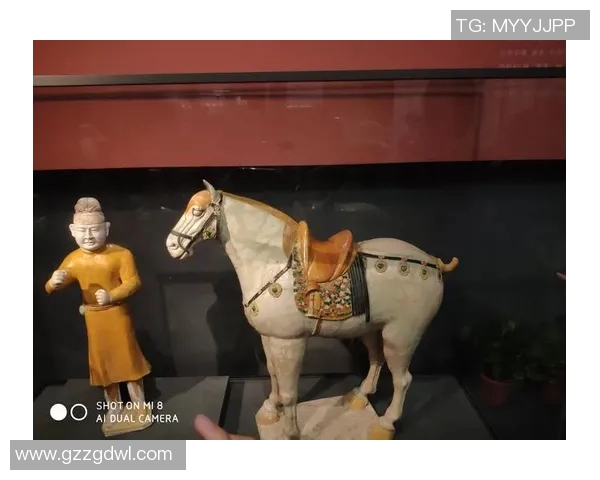 西安篮球队逆袭之旅的真实记录与成长故事