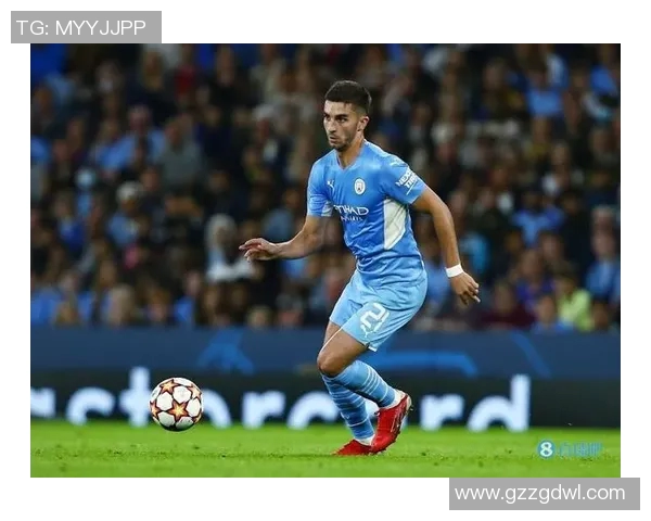 费兰托雷斯:从青涩小将到世界足球舞台的璀璨明星之路