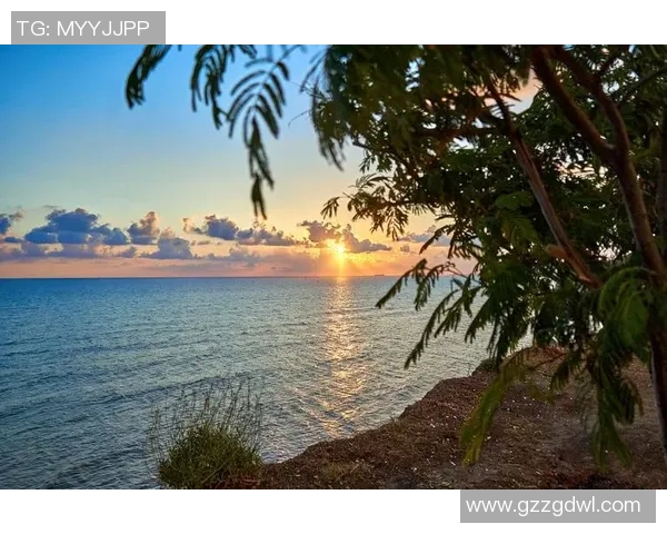 探索阿拉巴的历史文化与自然风光之美，感受独特的地方魅力与人文情怀