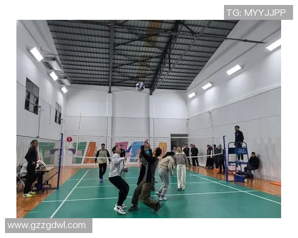 杭州排球队在全国排球配合排行榜中荣获第五名展现团队实力与默契