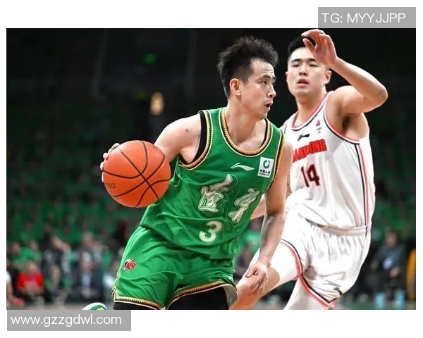 广东与辽宁篮球对决数据分析全面解读与赛季表现对比